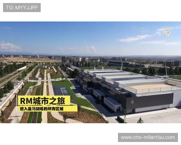 关于ld体育平台的全面介绍与最新功能解析，助你轻松掌握平台优势